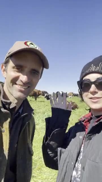 A farmer and Emilia taking a selfie video in a pasture full of cattle