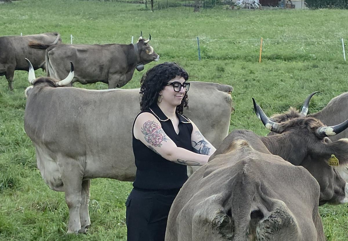 Emilia standing among a herd of cows in a green pasture